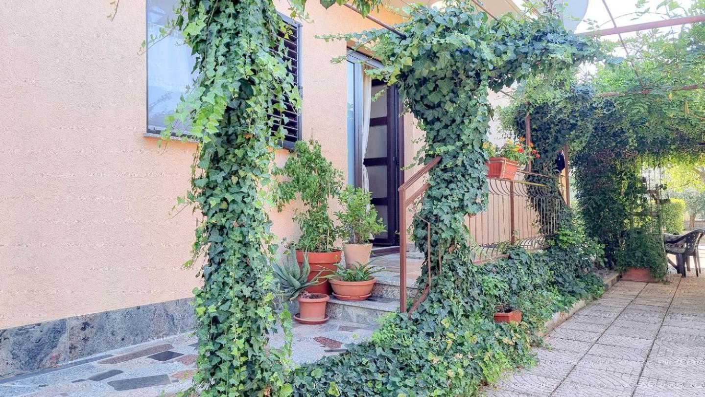 Apartments Maria Novigrad  Екстер'єр фото