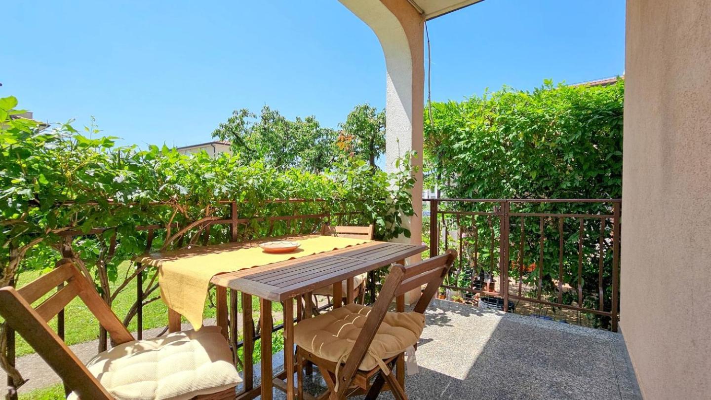 Apartments Maria Novigrad  Екстер'єр фото